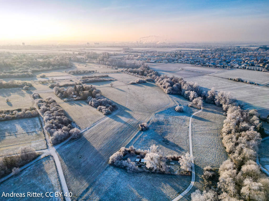 winterly fields